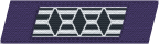 Councilor