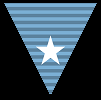 15 Year Ribbon (Fleet/Game)